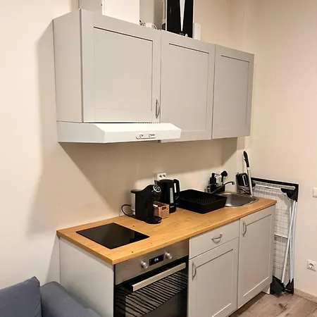 Апартаменты Tiny Brick Loft Вильнюс